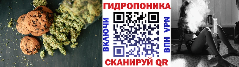 продажа наркотиков  Александров  Еда ТГК марихуана 