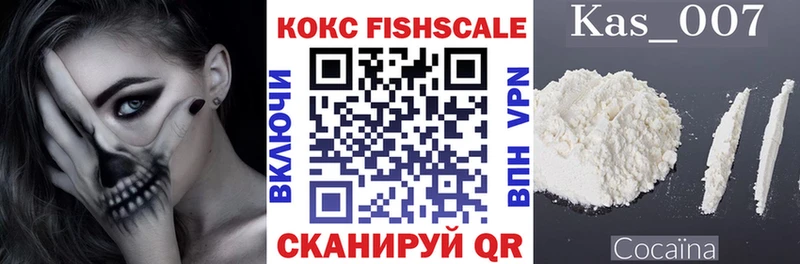 купить закладку  Александров  omg ТОР  COCAIN VHQ 