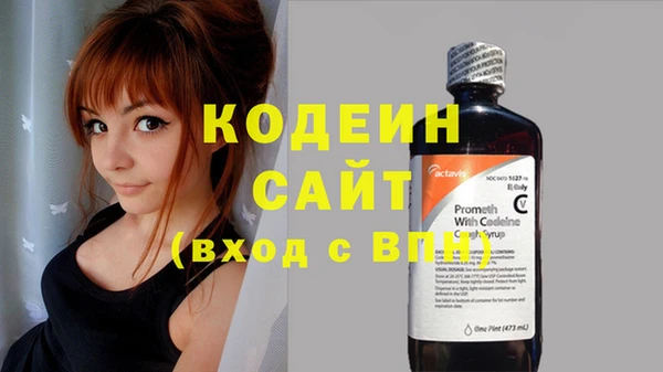 прущие грибы Абинск